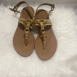 Maurices Dress Shoes